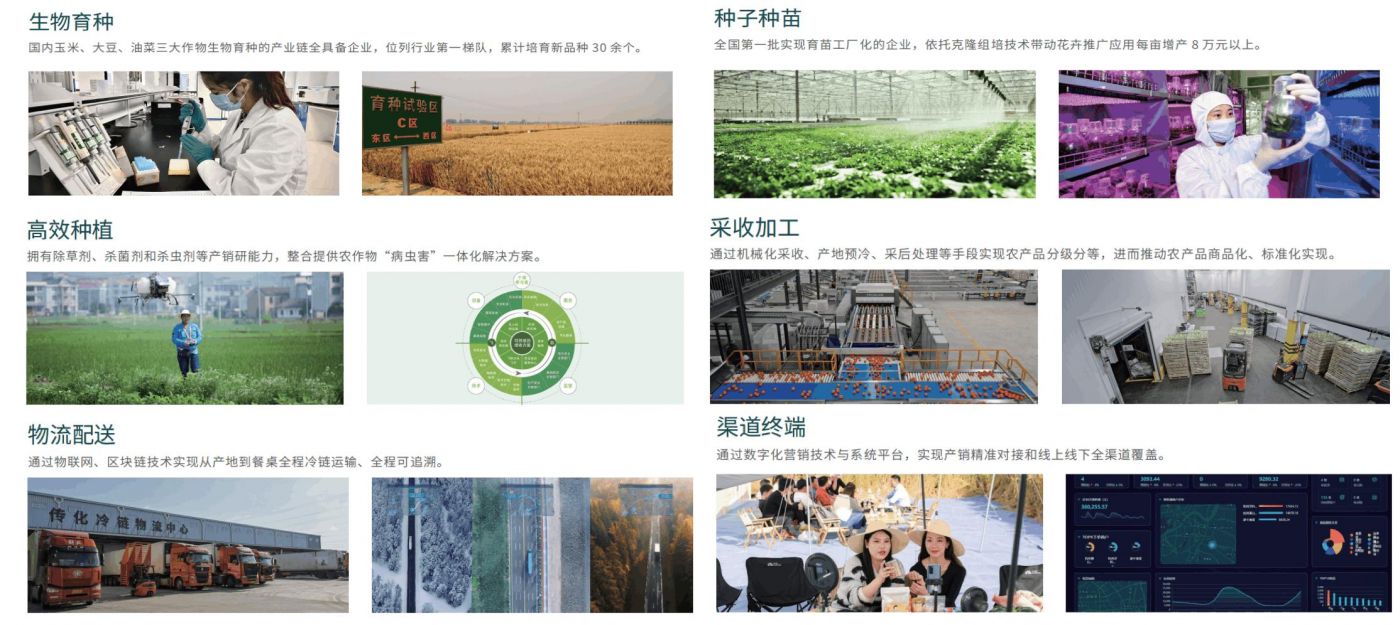 从研发造就到出产销售终端全流程尺度化打造 
