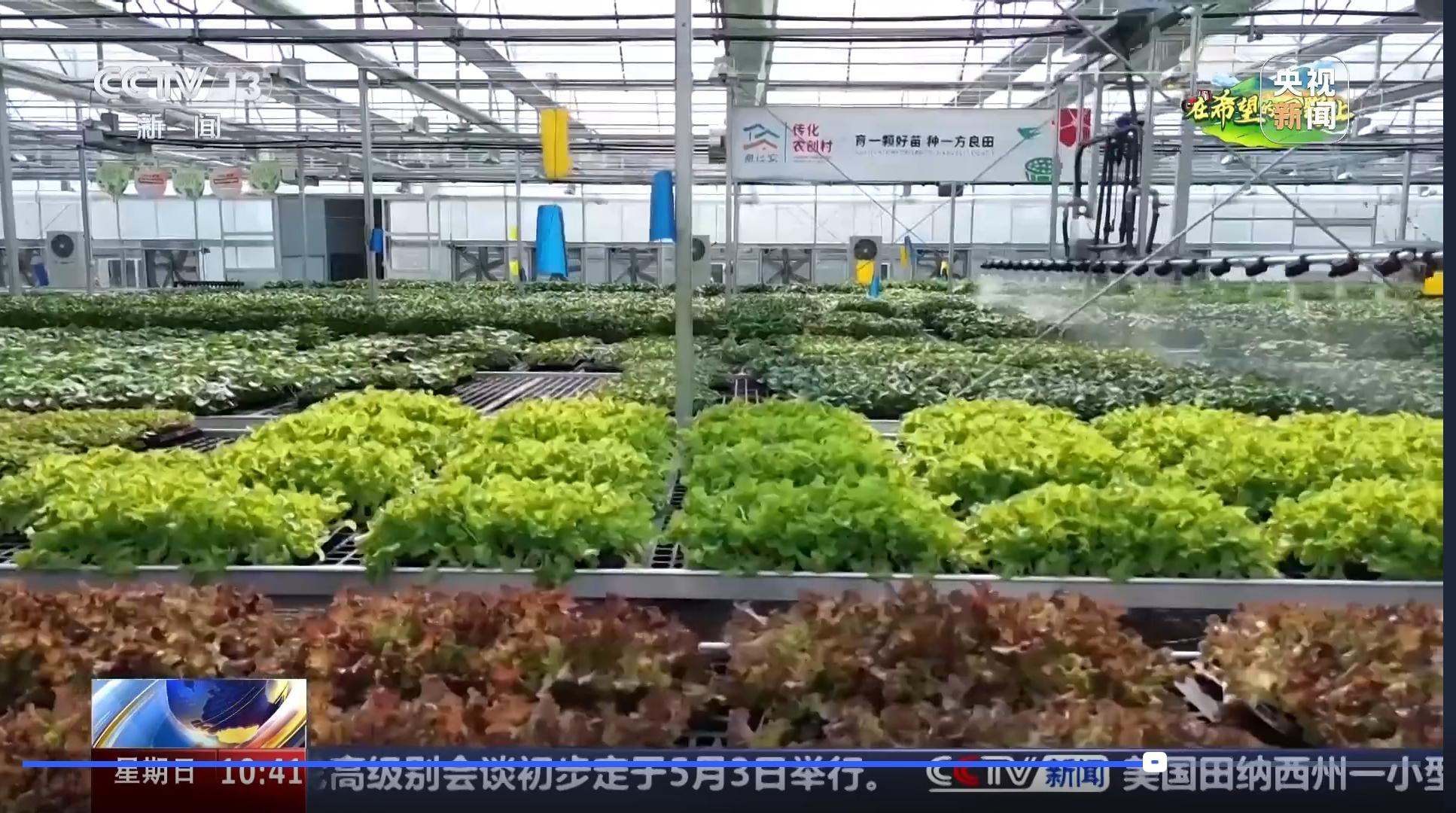 1745739669786663X8aX.jpg 数字种苗工厂.jpg