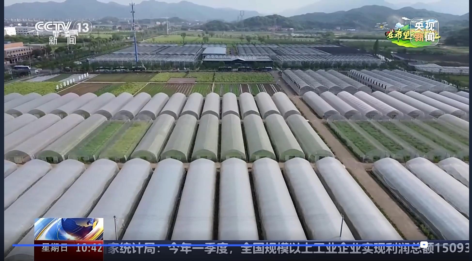 1745739739922272QGDP.jpg 农创村全景.jpg
